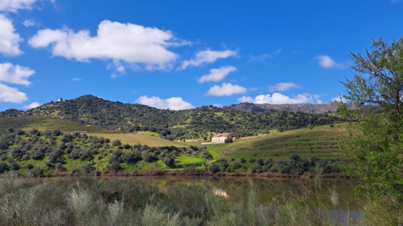 buying a farm in Portugal